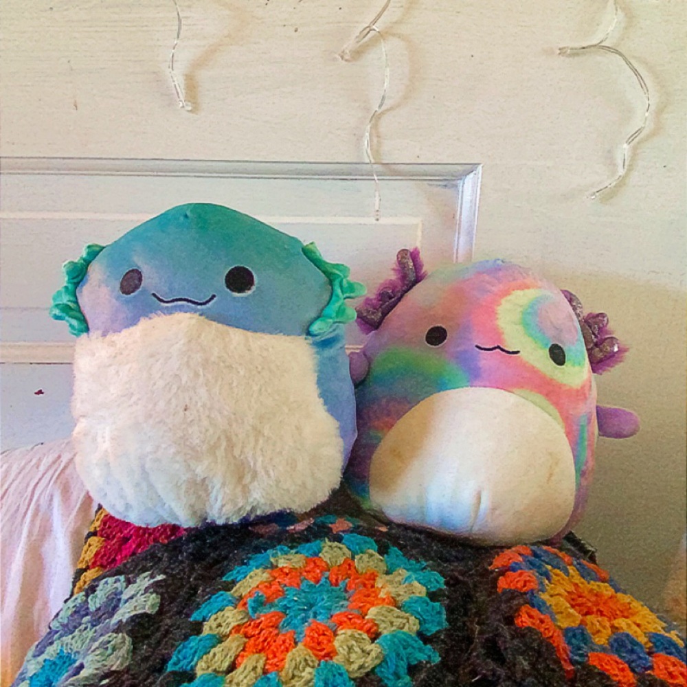 2 squishmallows
